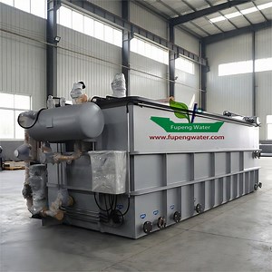 [Hot Item] Fupeng Municipal Sewage Air Flotation Pretreatment Unit