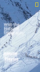 Take a break with the sounds of the National Geographic Official Playlist. Listen now on Spotify. | Hollywood Records