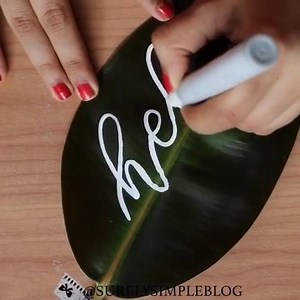 Chalk lettering on a leaf!  ✍ Although Kassa chalk markers are often used for chalkboards & glass, you can also write on them on many other surfaces! (However they will only erase on non-porous surfaces). By the talented Surely Simple | Kassa | Facebook