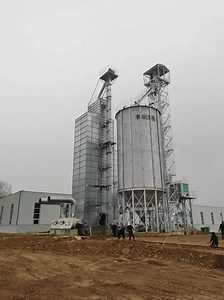 [Hot Item] Ftsilo Continuous Flow Grain Dryer Rice Grain Dryer