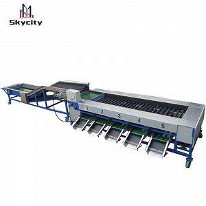 [Hot Item] Automatic Vegetable and Fruit Strawberry Sorting Grading Machine