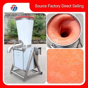 [Hot Item] Stainless Steel Commercial Automatic Citrus Orange Juicer Machine Food Processor (TS-GZ)