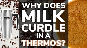 Why Does Milk Curdle In a Thermos Flask?