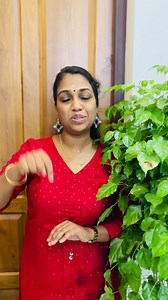 എന്താണ് നസ്യം? നസ്യത്തെ കുറിച് അറിയാം ❤️ | Badarinath Ayurveda Hospital And Research Centre