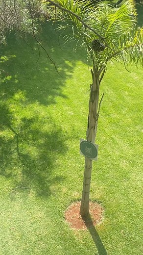 1.6K views · 8 comments |  Le Summer Camp est de retour chez Art...