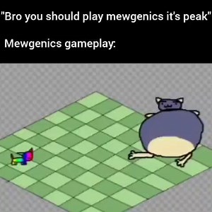 #Meowgenics