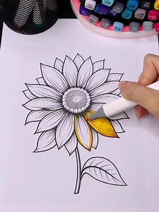 1.7K views · 55 reactions | Beautiful Sunflower  colouring asmr ! #colouring #markers #adultcolouring #alcoholmarkers #colourwithme #relax #satisfying #satisfyingcolouring #asmr #colouringasmr #colouringbook #minimalcolouring #simplecolouring #calm #coloring #colorwithme #adultcoloring #satisfyingcoloring #coloringasmr #coloringbook #minimalcoloring #simplecoloring #girls #flowers #usagirl #simplecolouring #painting #drawing #art #illustration | Colour With Deisy | Facebook