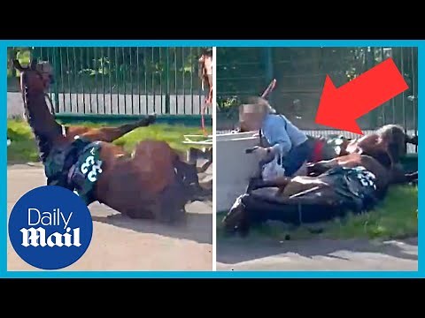 Shocking moment stampeding horses fall and crash into woman at Grand National
