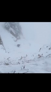 3.2K views · 54 reactions | The Daily Pow Skiing "Powder" Alta Ski Area, UT Friday! Would you? | SnowBrains | Facebook