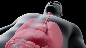 This 3d animation shows the gastroscopy in the human stomach