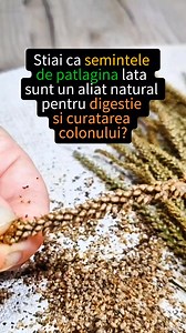 576K views · 8.4K reactions |  Știai că semintele de patlagina lata...