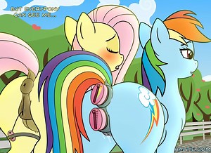 Voyeurs Pony [haltie]