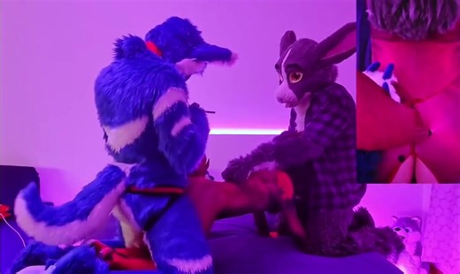 Straight Fursuit Compilation 1