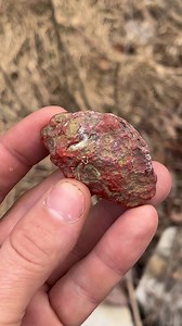 27 reactions · 9 comments | The mystery! #Agate #kentucky #rocks #geology #rockhound | Taylor Pfanstiel | Facebook