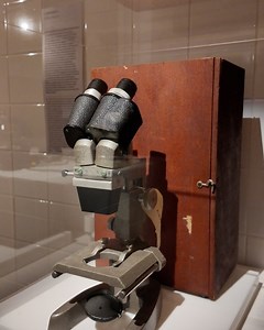 Art Safari Bucharest on Reels