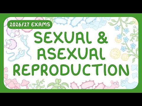 GCSE Biology - Sexual & Asexual Reproduction | Gametes (2026/27 exams)