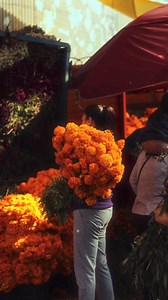 Human Assembly Gallery | Human Assembly