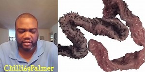 #NoChill #Chilli69Palmer #SilentlyHilarious (Daily Vids: 11am, 3pm and 7pm) Video Credit: ze frank https://www.youtube.com/user/zefrank1 | Chilli69Palmer