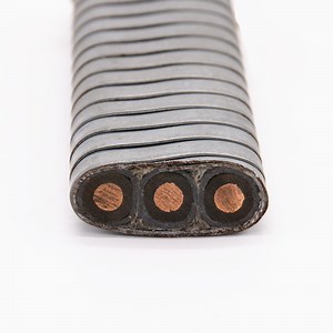 [Hot Item] API Approved Round and Flat EPDM Rubber Sheath Monel Armoured Copper Conductor Esp Cable