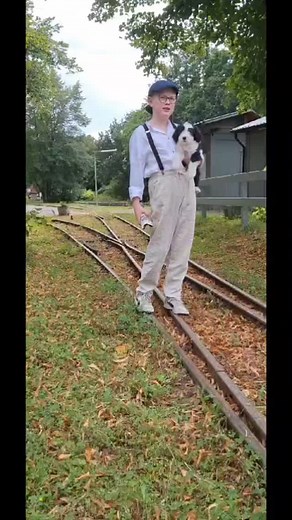 Last year, we had to say goodbye to our puppies #puppylove #newlife #beardedcolliedeutschland #beardedcolliefans #dogvideos #dogfriends #proudbreeder #beardedcollieoninstagram #gentlesoulsbeardedcollie #gourgous #großwerden #gentlesoulsbreeder #glück | Doris Ohsenbrügge