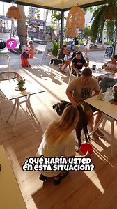 111K views · 348 reactions | Mujer con vestido naranja brillante intriga a un perro de servicio. | Fabiosa Español | Facebook