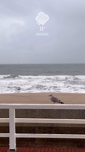 Sylt – Die Insel on Reels | Facebook