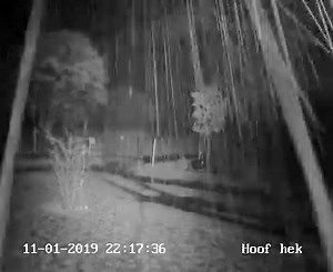 It rained nicely last night in Rhenosterfontein, east of Rustenburg 📸 Dawid Conradie | Your Weather by AfriWx