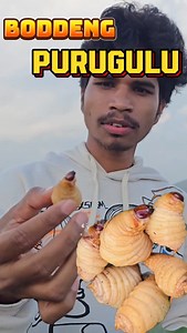 2M views · 8.4K reactions | Boddeng purugulu 聯 Follow more videos @sanjay_vlogs25  Check out my youtube channel ""Sanjay for u"" #vlog #vlogs #minivlog #minivlogs #vlogger #vloggers #vloggerlife #purugulu #minivlogger #minivloggers #tribal #tribalchief #tribalhouse #tribalfood #tribalfoods #wild #wildfood #viral #viralreels #viralvideos #village #tribalvibes #explore #explorepage "#exploremore #explorepage✨ #vjsiddhu #vjsiddhuvlogs #sanjayvlogs25 | Sanjay Kumar | Facebook