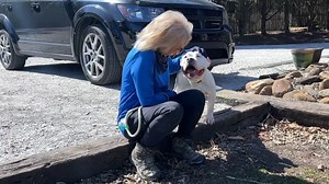 16K views · 236 reactions | Best kisses in town! Come meet Amelia at Oak Ridge Animal Shelter. She is friendly, happy, and full of love! ❤ #adoptdontshop #adoptme | Adoptable Animals at the Oak Ridge Shelter | Facebook