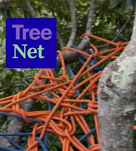 How to Make a Tree Net