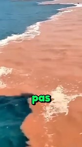 1.6M views · 29K reactions | Pourquoi l’Atlantique et le Pacifique ne se mélangent jamais ? #ocean #oceanpacific #Antlantique #oceanantlantique #mer | Cultures du Monde | Facebook