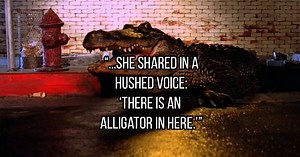 Dating someone who sleepwalks/sleep-talks sounds absolutely bizarre (17 GIFs)