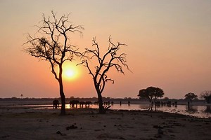 Zimbabwe Safari – Connect With Your Wild Side