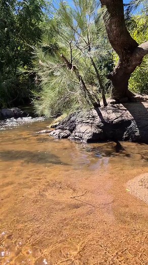 Fishing Adventure at Fish River, NSW