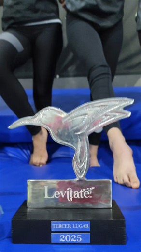 Fly Gym Academy, Querétaro on Reels | Facebook