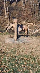 186K views · 1.2K reactions | A quick video showing the patience pole with the swivel top. I love these, they allow the horse to move if he feels like he needs to. When they are not restricted from moving, they soon chill and relax. I consider tying comfortably a foundation skill for any horse. If they cannot be tied safely, you greatly limit their future. #horsetrainingtips #ultimatetrailhorse #patiencepole #swiveltop #safetrailhorse | Horse Of Your Dreams | Facebook
