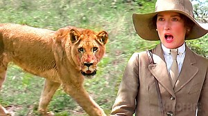 359K views · 8.7K reactions | Une noble maladroite face à un animal sauvage | Boxoffice - Les Grands Moments de Cinéma | Facebook