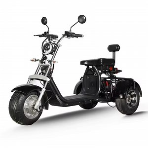 [Hot Item] 3 Wheel Powerful Electric Scooter EEC Coc Approved Adult Electric Motorcycle Citycoco 2000W