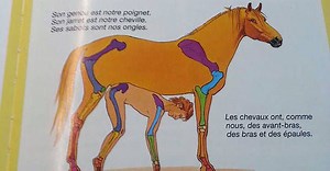 Watch online Innuendo in english with english subtitles 1280 16:9