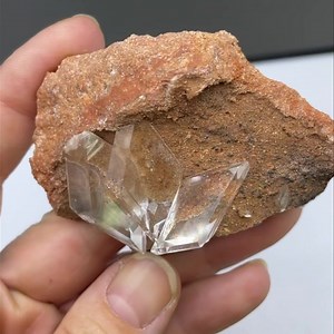 Gypsum from Mapimi (Mexico). Size: 7 cm, price: $65 ( shipping fee). We ship worldwide. Please DM to claim or get more details - we can provide high quality video. To see more of our minerals visit www.SpiriferMinerals.com 11879 #spirifer #mineralcollecting #mineralspecimen #mineralcollection #rockhounding #rockhound #minerals #mineral #rocks #rock #fineminerals #gypsum #mexico #mineralogy #geology #nature #gypsumcrystal #selenite | Spirifer Minerals