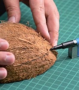 47K views · 115 reactions | Beautiful Coconut Shell Art You Can Make At Home | 5-Minute Crafts Play | Facebook