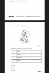 The diagram shows a cell that secretes enzymes. Where are the e... | Filo