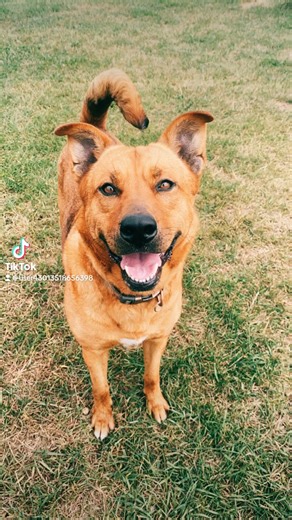 2.3K views · 47 reactions | Wednesday Wish ✨ Ruby Rose This girl is...