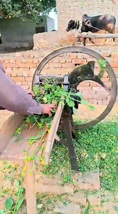 559K views · 18K reactions | Gayre Toka Chuff Cutter Machine A...