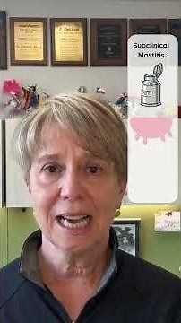 Subclinical vs clinical mastitis in dairy cows #mastitisminute #dairycows #cow #bacterialculture