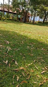 Asante Yesu Kristo Asante Baba #viral #followers #letlovelead #Good #highlights #Temple #everyone #facebookreels #wordsofwisdom | Medard Mushemeza