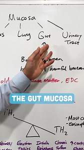 Mucosal inflammation can wake up your mast cells—and that can mean big trouble for your gut and beyond! ⚠️裂Check out my full guide to neurometabolic gut repair here: https://fb.askdrkan.com/gutrepair #MastCells #GutHealth #Inflammation #ImmuneHealth #ChronicIllness #Microbiome #HealthFacts #ScienceSimplified | Hope Integrative Wellness Center | Facebook