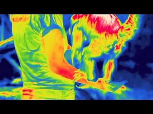 What's hot, and what's not at Jersey Zoo