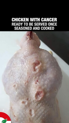 15 reactions | Lebanese Vegans on Reels | Facebook