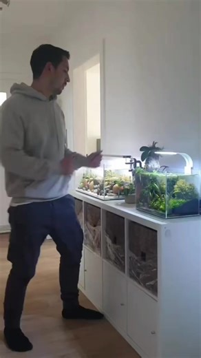 #aquaristik #fishtok #fishtank #fish #fisch #pufferfish #kugelfisch #puffer | Betta Fish | Facebook